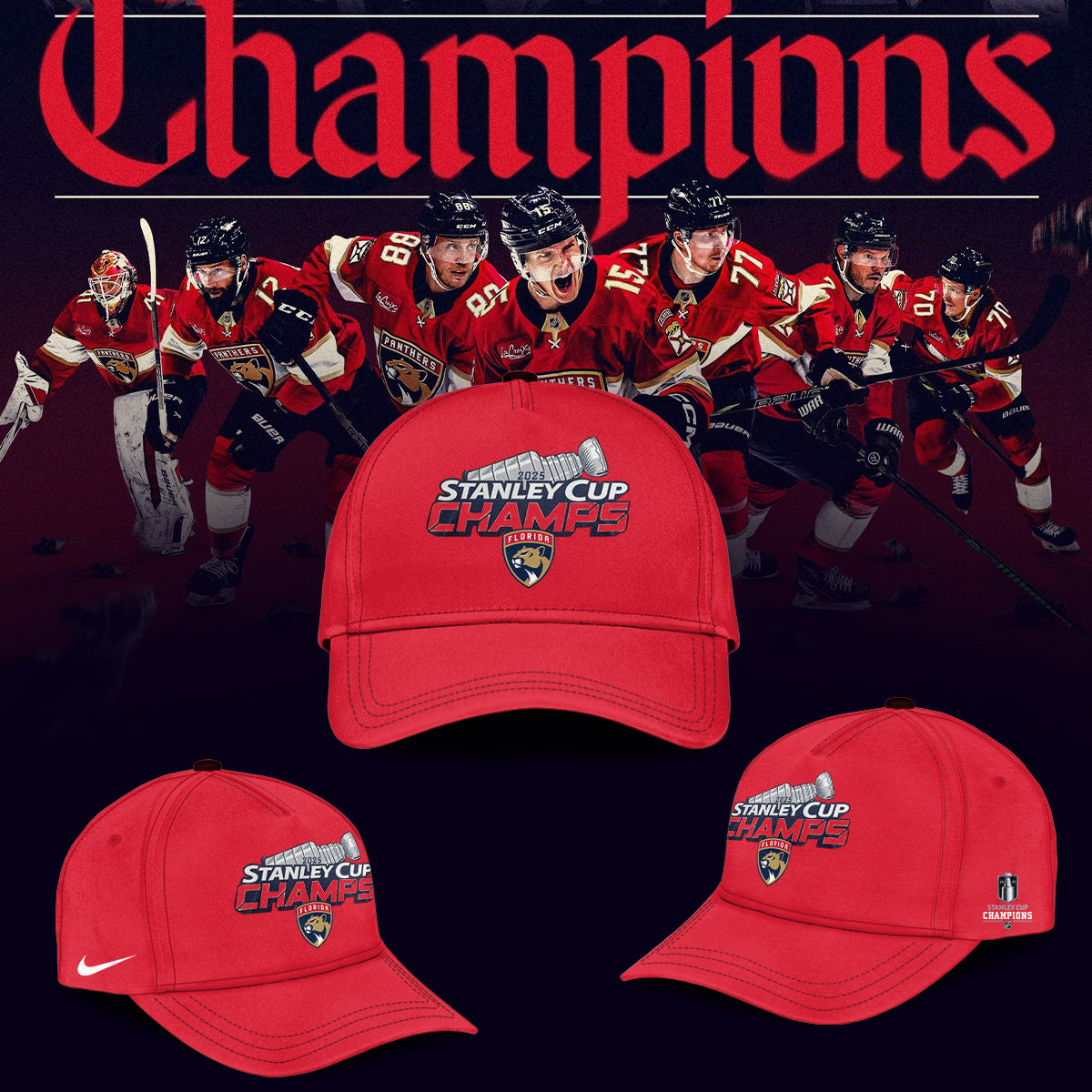 Florida Panthers Back To Back Champions Stanley Cup 2025 T-Shirt