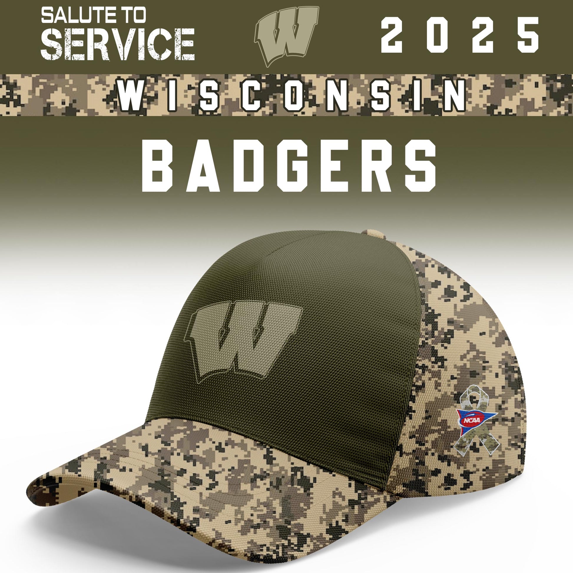 Wisconsin Badgers Salute To Service Limited Hoodie and Cap 2025 Collection