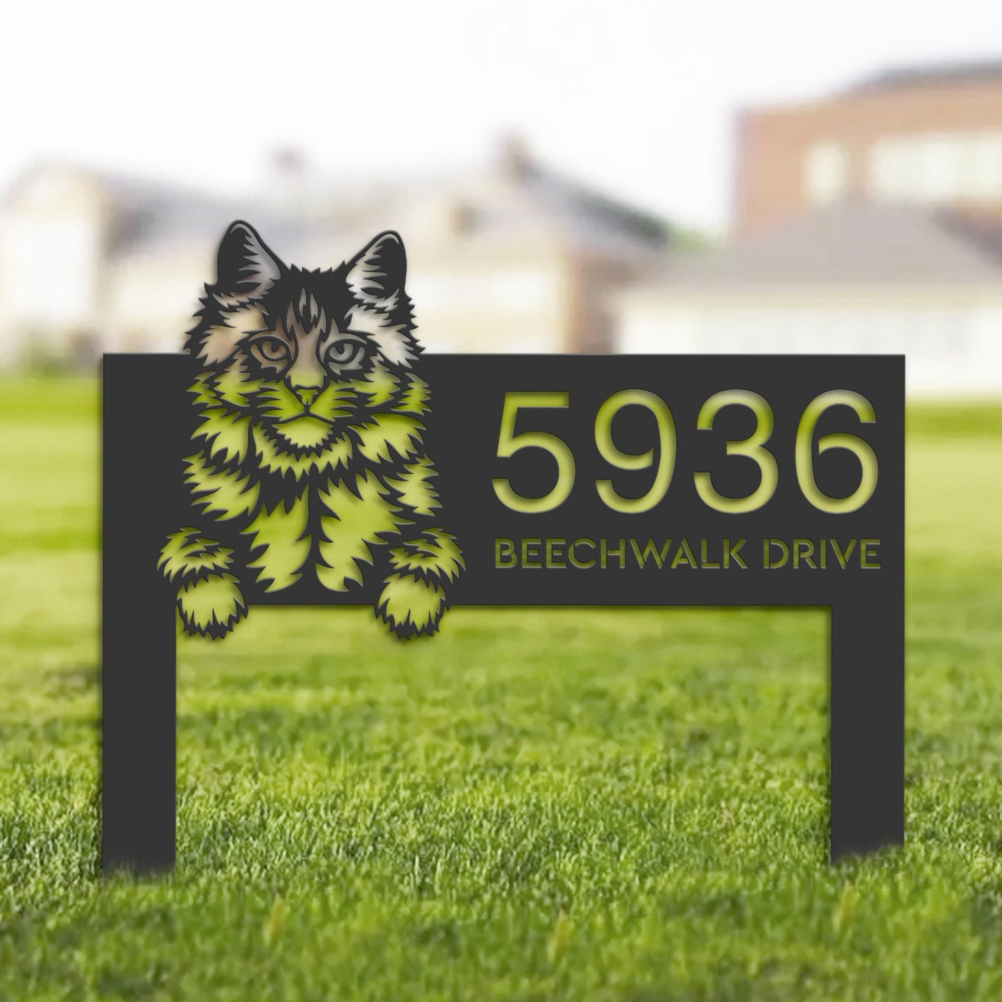 Personalized Main coon Cute peeking cat kitten Metal Address Sign House number Hanging Address Plaque Yard Sign Outdoor Sign Garden Stake