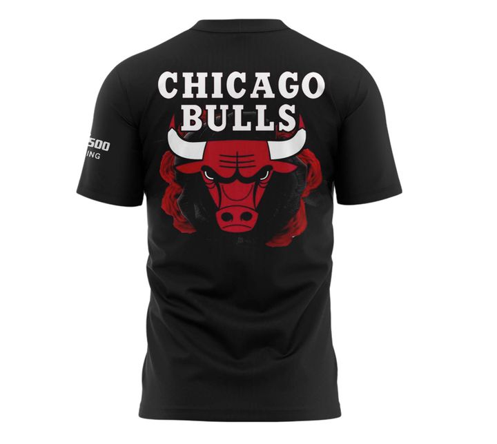 Chicago Bulls T-Shirt - Derrick Rose Night #1 T-Shirt Head Back